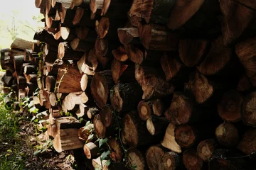 Fototapete Rund Brennholz Close-up view of cut firewood logs showing textures and tree rings in Staro Selo, Serbia  © Ekaterina