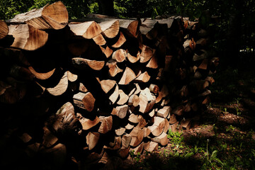 Close-up view of cut firewood logs showing textures and tree rings in Staro Selo, Serbia