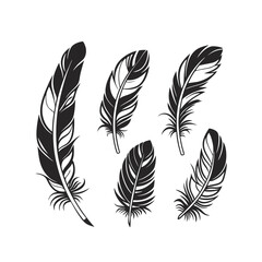 Obraz premium Diverse Collection of Five Stylized Black Feather Silhouettes with Intricate Details - Perfect for Bird, Nature, Indigenous, and Artistic Designs