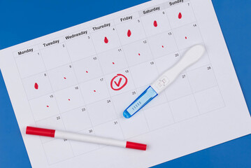 Positive pregnancy test, gynecological ultrasound image and ovulation calendar marked with menstruation and ovulation dates. Fertility tracking, family planning, maternal health, and prenatal care.