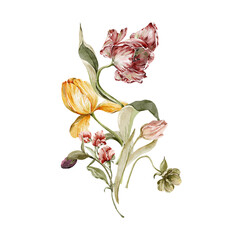 Watercolor floral composition. Hand painted garden flowers, leaves, wildflowers and tulips. Bouquet isolated on white background. Botanical illustration for design, print or background