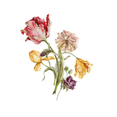 Watercolor floral composition. Hand painted garden flowers, leaves, wildflowers and tulips. Bouquet isolated on white background. Botanical illustration for design, print or background