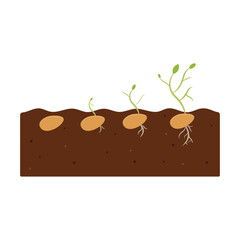 Seed Growth Icon Set Vector Design.