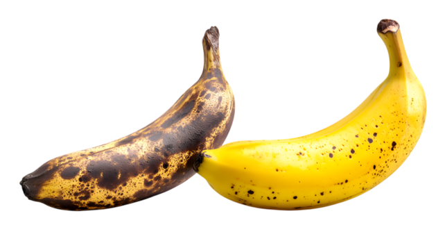 Overripe banana compared to a fresh banana illustrating ripening process decay and the cycle of life in vibrant detail with isolated background