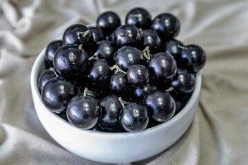 Beautiful and juicy ripe jabuticaba fruits in fine detail