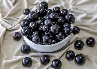 Beautiful and juicy ripe jabuticaba fruits in fine detail