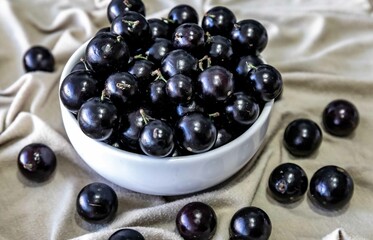Beautiful and juicy ripe jabuticaba fruits in fine detail