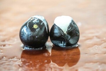 Beautiful and juicy ripe jabuticaba fruits in fine detail