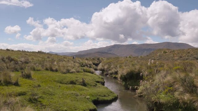 Pristine mountain stream winding through lush paramo grasslands, revealing untouched Ecuadorian Andes landscape with gentle flowing water and expansive blue sky