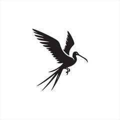 Soaring Frigatebird Silhouette Vector – Majestic Seabird with Inflated Throat Pouch, Long Wingspan, Minimal Black Outline Perfect for Nautical Wildlife Art, Logos, and Decor
