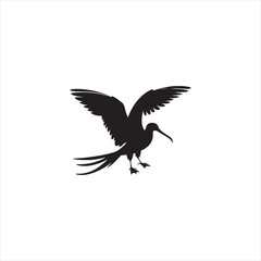 Soaring Frigatebird Silhouette Vector – Majestic Seabird with Inflated Throat Pouch, Long Wingspan, Minimal Black Outline Perfect for Nautical Wildlife Art, Logos, and Decor
