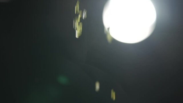 A person is sprinkling something on a dark background. The image has a serene and tranquil atmosphere, as the person's hand gently drops the substance onto the surface