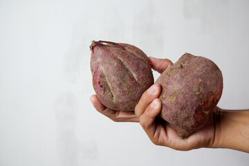 Close-up of a hand holding a raw sweet potato against a plain background