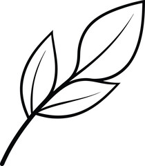 eco leaf green leaf outline on white background