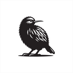 Nocturnal Kiwi Silhouette Vector Art – Unique Flightless Bird Design with Long Beak and Round Body, Minimalist Black Outline for New Zealand Wildlife, Nature Logos, and Rustic Decor
