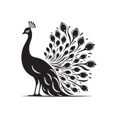 Elegant Peacock Silhouette Vector Art – Regal Bird Design with Flowing Tail Feathers, Minimalist Black Outline Perfect for Royal Themes, Wildlife Graphics, Cultural Decor, and Logos
