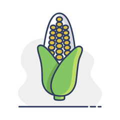 Corncob isolated vector icon. Vegetable sign