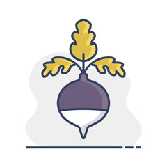 Rutabaga or swede turnip vector icon
