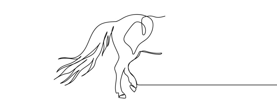 Continuous line, horse's tail Hand drawn vector art lines on transparent background. Editable strokes.