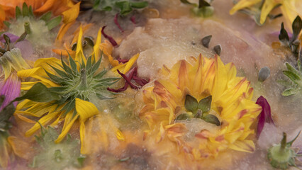 floral art background with yellow sunflowers and dahlia flowers in frozen still life
