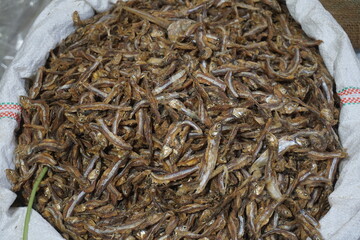 Mixed dried fish are displayed and sold at a fish market. Different types of dried fish along with hilsa are sold by a street vendor. All types of dried salted fish in the Asian biggest seafood market