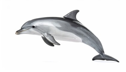 Fototapeta premium Joyful Dolphin’s Dance: A sleek dolphin leaps playfully, its form capturing the essence of marine grace and aquatic beauty. Embodying freedom and wonder. 