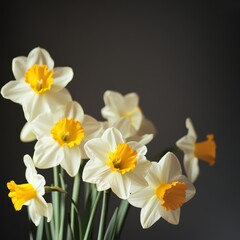 Naklejka premium Glowing daffodils in a dark vase