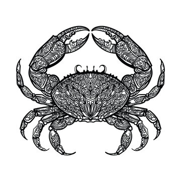 Ethnic style crab line drawing