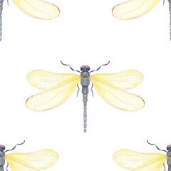 Yellow dragonfly, translucent wings, painted watercolor seamless pattern isolated on white. Ideal for nature branding, packaging, eco-friendly design, stationery, wall art, wedding, baby shower themes