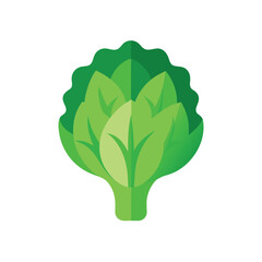 Vibrant Green Leafy Vegetable Illustration Fresh, Healthy, and Nutritious
