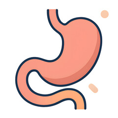Simplified Illustration of a Human Stomach in Pink with Dark Outline on Transparent Background