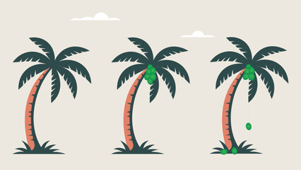 Fototapeta premium Set of Isolated Tropical Palm Trees Vector Illustration