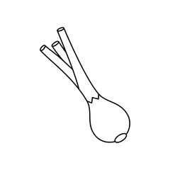 Onion outline symbol. Fresh organic vegetable. Natural vegetarian food. Healthy eating. Vector illustration