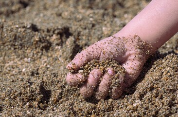 Close-Up of a Child Hand Holding Sand on the Beach