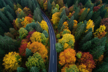 Aerial view of a winding road through a vibrant autumn forest