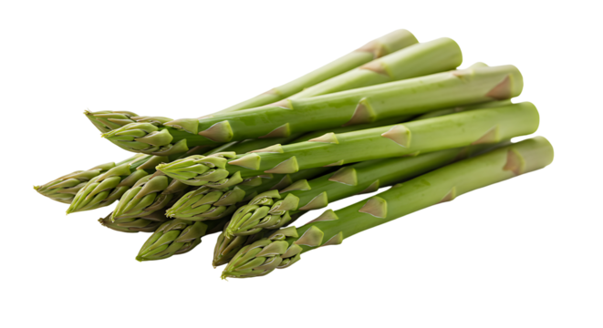 Bunch of fresh green asparagus with closed flower buds on a black background