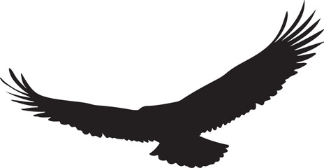 eagle silhouette isolated on white