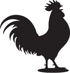 rooster isolated on white background