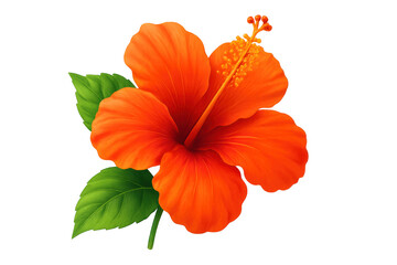 Orange hibiscus flower blooming on a transparent background, perfect for adding a tropical touch to designs