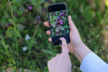 Woman using plant recognition application on smartphone outdoors, closeup