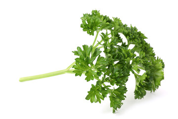 Sprig of fresh parsley isolated on white