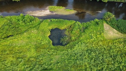Aerial Drone View of a Lush Green Wetland with Grassy Trail and Forest Edge in Late Summer
