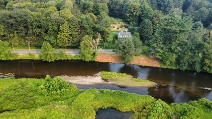 Aerial Drone View of a Lush Green Wetland with Grassy Trail and Forest Edge in Late Summer