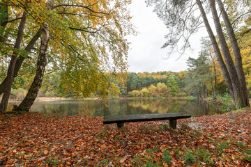 Grünwiesenweiher in Neu-Anspach im Taunus, Hochtaunuskreis, Hessen 