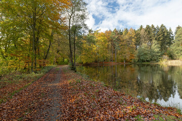 Gr&uuml;nwiesenweiher in Neu-Anspach im Taunus, Hochtaunuskreis, Hessen 