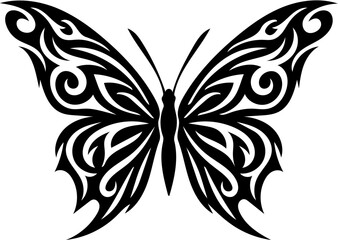 butterfly vector illustration, isolated on white
