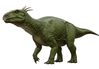 A green dinosaur stands out against a black background showcasing its scaly skin and distinctive head crest