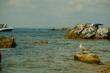 Beautiful seaside in Turkey