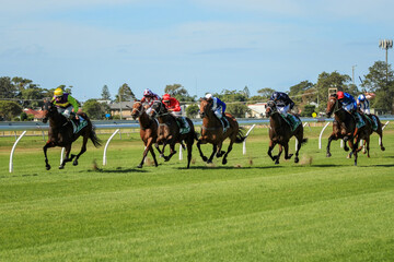 Racehorses running race on turf track