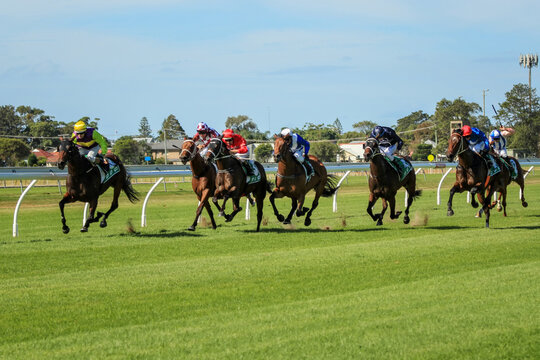 Racehorses running race on turf track